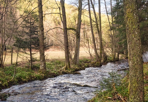 20220205202112-cb679c74